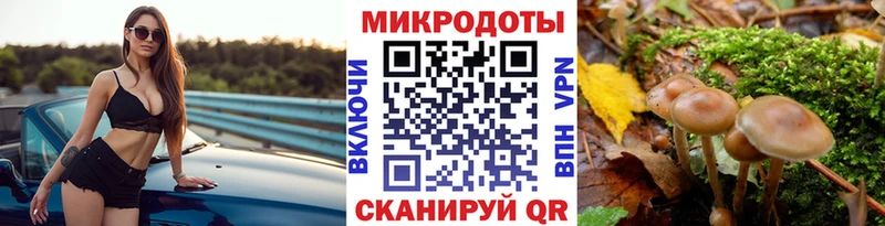 Псилоцибиновые грибы прущие грибы  как найти   ссылка на мегу вход  Выборг 