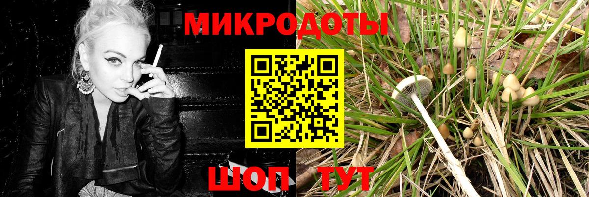 Псилоцибиновые грибы Cubensis  где купить   Выборг  Вход с VPN 